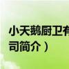 小天鵝廚衛有限公司（關于小天鵝廚衛有限公司簡介）