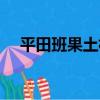 平田班果土林（關于平田班果土林介紹）