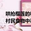哄搶榴蓮的村民食物中毒 視頻（哄搶榴蓮的村民食物中毒）