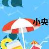 小央吉（關于小央吉簡介）