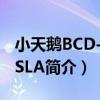 小天鵝BCD-176SLA（關于小天鵝BCD-176SLA簡介）