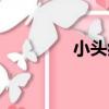 小頭癥（關于小頭癥簡介）
