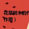 花草樹木的作用可以改良土壤嗎（花草樹木的作用）