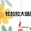 杜拉拉大結局 小說下載（杜拉拉大結局）