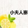 小夫人寨村（關于小夫人寨村簡介）