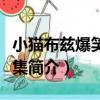 小貓布茲爆笑故事集（關于小貓布茲爆笑故事集簡介）