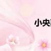 小央斯（關于小央斯簡介）