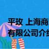 平玫 上海商貿有限公司（關于平玫 上海商貿有限公司介紹）