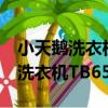 小天鵝洗衣機TB65-2088G(S)（關于小天鵝洗衣機TB65-2088G(S)簡介）