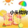 小頭梳鉤鯰（關于小頭梳鉤鯰簡介）