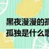 黑夜漫漫的孤獨是什么歌（黑夜漫漫卻漫不過孤獨是什么歌）