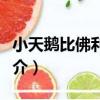 小天鵝比佛利冰箱（關于小天鵝比佛利冰箱簡介）
