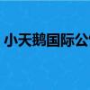 小天鵝國際公館（關于小天鵝國際公館簡介）