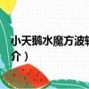 小天鵝水魔方波輪洗衣機（關于小天鵝水魔方波輪洗衣機簡介）