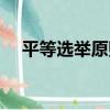 平等選舉原則（關于平等選舉原則介紹）