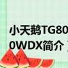 小天鵝TG80V20WDX（關于小天鵝TG80V20WDX簡介）
