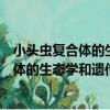 小頭蟲復合體的生態學和遺傳分化的研究（關于小頭蟲復合體的生態學和遺傳分化的研究簡介）