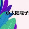 小太陽瓶子草（關于小太陽瓶子草簡介）