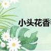 小頭花香薷（關于小頭花香薷簡介）