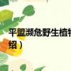 平盟瀕危野生植物公益會（關于平盟瀕危野生植物公益會介紹）