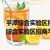 平潭綜合實驗區招商與產業促進中心志愿服務隊（關于平潭綜合實驗區招商與產業促進中心志愿服務隊介紹）