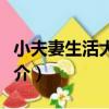 小夫妻生活大亂斗（關于小夫妻生活大亂斗簡介）