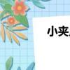 小夾岸（關于小夾岸簡介）
