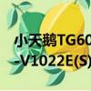 小天鵝TG60-V1022E(S)（關于小天鵝TG60-V1022E(S)簡介）