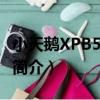小天鵝XPB55-17S（關于小天鵝XPB55-17S簡介）