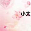 小太郎（關于小太郎簡介）