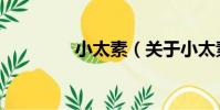 小太素(關于小太素簡介)