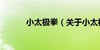 小太極拳(關于小太極拳簡介)