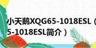 小天鵝XQG65-1018ESL(關于小天鵝XQG65-1018ESL簡介)