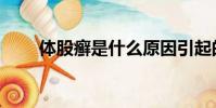 體股癬是什么原因引起的(體股癬)