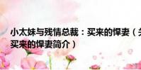 小太妹與殘情總裁:買來的悍妻(關于小太妹與殘情總裁:買來的悍妻簡介)