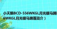 小天鵝BCD-556WKGL月光銀馬蹄蓮(關于小天鵝BCD-556WKGL月光銀馬蹄蓮簡介)
