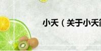 小夭(關于小夭簡介)
