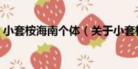 小套桉海南個體(關于小套桉海南個體簡介)