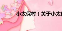 小太保村(關于小太保村簡介)