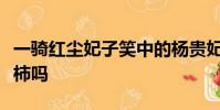 一騎紅塵妃子笑中的楊貴妃在當時能吃到西紅柿嗎