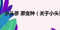 小頭蓼 原變種(關于小頭蓼 原變種簡介)
