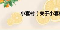 小套村(關于小套村簡介)