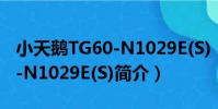 小天鵝TG60-N1029E(S)(關于小天鵝TG60-N1029E(S)簡介)