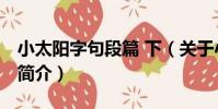 小太陽字句段篇 下(關于小太陽字句段篇 下簡介)