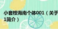 小套桉海南個體001(關于小套桉海南個體001簡介)