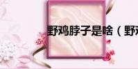 野雞脖子是啥(野雞脖子)