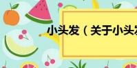 小頭發(關于小頭發簡介)