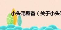 小頭毛麝香(關于小頭毛麝香簡介)