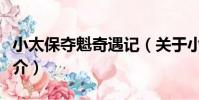 小太保奪魁奇遇記(關于小太保奪魁奇遇記簡介)