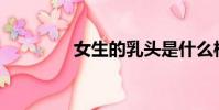 女生的乳頭是什么樣子的?
